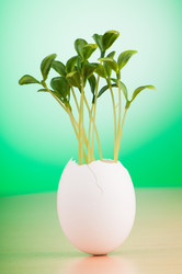 Similar image 5444691