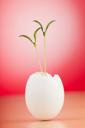 Similar image 5444693