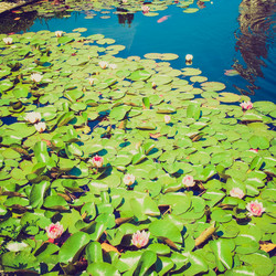 Similar image 5444728