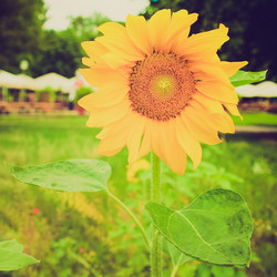 Similar image 5444775