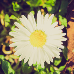 Similar image 5444825