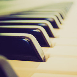 Similar image 5444831