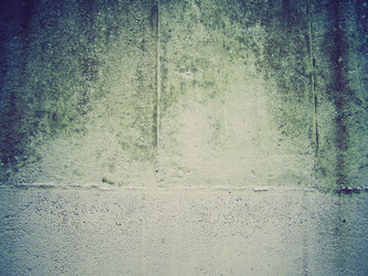 Similar image 5444856