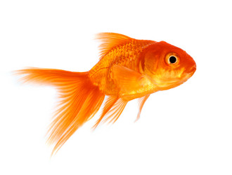 Similar image 5444931