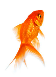 Similar image 5444934