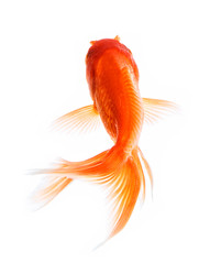 Similar image 5444938