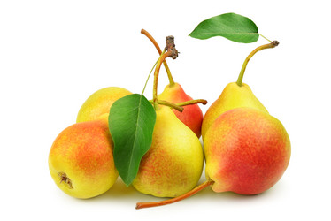 Similar image 5445087