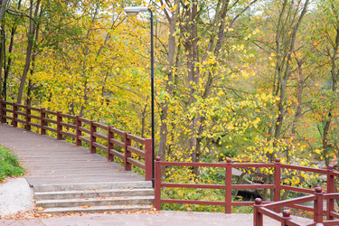 Similar image 5445258