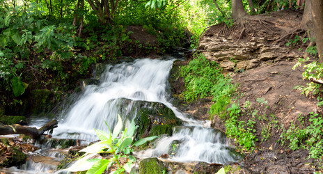 Similar image 5445289