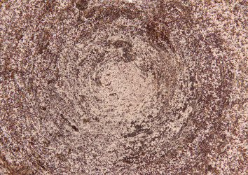 Similar image 5445321