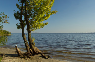 Similar image 5445359