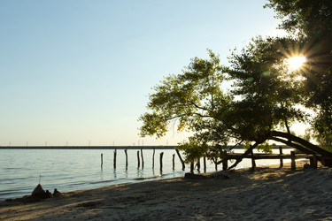 Similar image 5445361