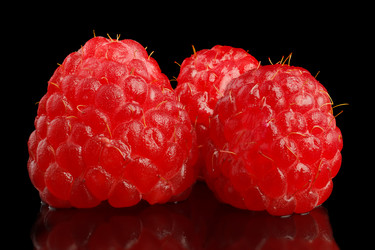 Similar image 5445391