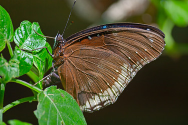 Similar image 5445430