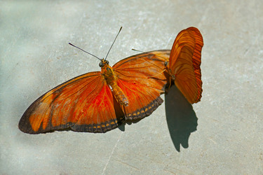 Similar image 5445431