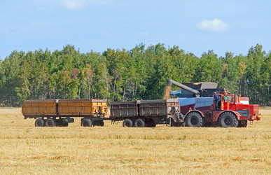 Similar image 5445449