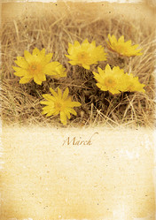 Similar image 5445500