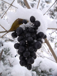 Similar image 5445536