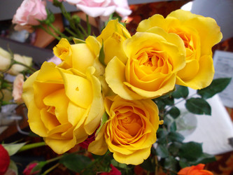 Similar image 5445540