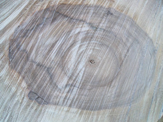 Similar image 5445546