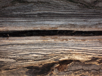 Similar image 5445562