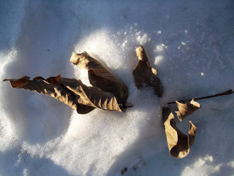 Similar image 5445564