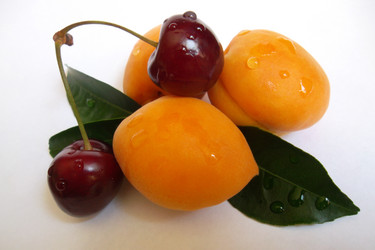 Similar image 5445565