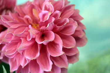 Similar image 5445581