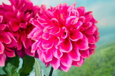 Similar image 5445586