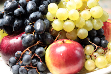 Similar image 5445592