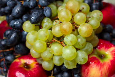 Similar image 5445594