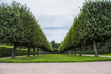 Similar image 5445603