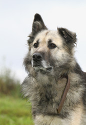 Similar image 5445668