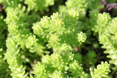 Similar image 5445676