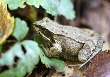 Similar image 5445690