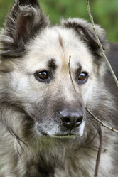 Similar image 5445692