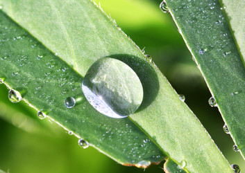 Similar image 5445721