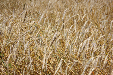 Similar image 5445764