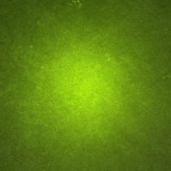 Similar image 5445828