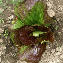 Similar image 5445847