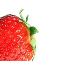 Similar image 5445850