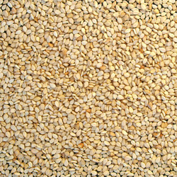 Similar image 5445852