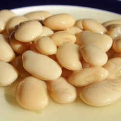 Similar image 5445859