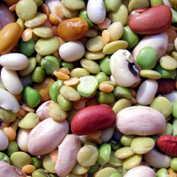 Similar image 5445894