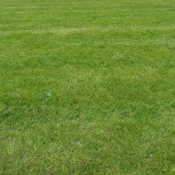 Similar image 5445917