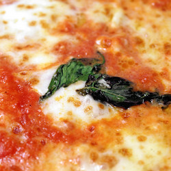 Similar image 5445920