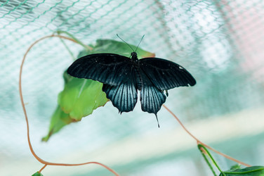 Similar image 5445979