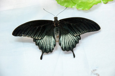 Similar image 5445981