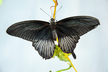 Similar image 5445983