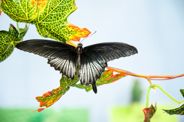 Similar image 5445984